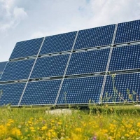 На Прикарпатті фірма із капіталом у 2000 грн отримає в оренду землю на 50 років