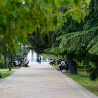 У Франківську визначили список скверів і парків, які облаштують протягом року 