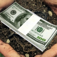 Найдорожчу земельну ділянку у світі продали за 3 млрд доларів 