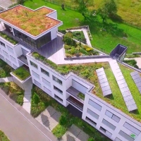 БК «Мельник» масштабно втілює нову для Франківська технологію «зелених дахів»