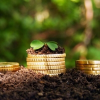 У Франківську ділянку у промисловому районі продали з молотка за понад 100 тис грн 