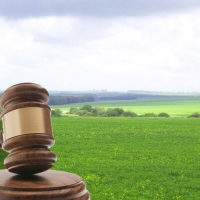 В Івано-Франківську на продаж виставлять близько 2 га землі