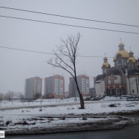 Мешканці Пасічної виступають проти забудови ділянки поруч із церквою 