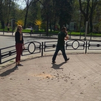  В центрі Івано-Франківська знову сипляться будинки. ФОТОФАФКТ