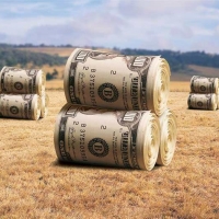  В Україні почнеться глобальний розпродаж землі