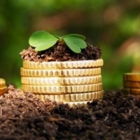 У Франківську міськрада хоче облаштувати 16 скверів 