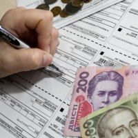 Стало відомо, коли почнуть монетизацію субсидій