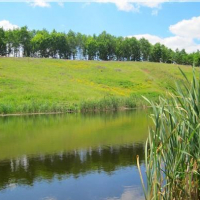 Івано-Франківська ОДА не продовжила підприємству оренду 52 га площі на Городенківщині