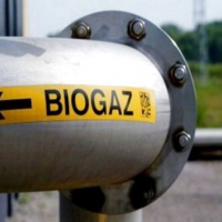  На Франківщині планують побудувати біогазовий завод на відходах сільського господарства та тваринництва