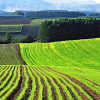 Міністр економіки розповів, куди підуть гроші від продажу землі