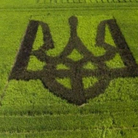 Верховна Рада відкрила ринок землі: як голосували нардепи з Прикарпаття
