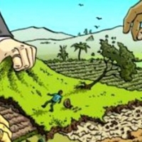 Члени кооперативу звинувачують екс-сільського голову Угринова у махінаціях із землею