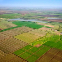 У земельній сфері в Україні відбулася революція