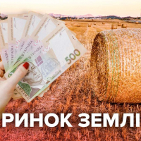Ринок землі: на Прикарпатті вже продали 41 ділянку