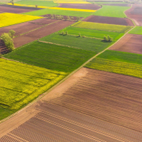 Ринок землі: в Івано-Франківській області продали найменше ділянок
