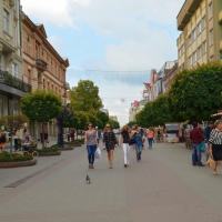 Впорядкувати фасади: У Франківську на круглому столі вирішуватимуть як по-новому розміщувати вивіски