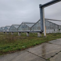 Тепличний комплекс біля Богородчан продали з аукціону