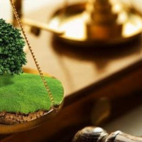 В Івано-Франківську виставлять на аукціон чотири земельні ділянки