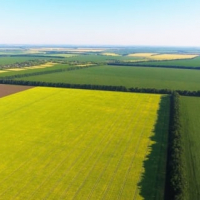 Ринок нерухомості відновлюється, але землю купують більше, ніж житло
