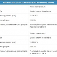 Інформація про земельну ділянку в кадастрі