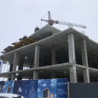 Січень 2019