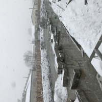 Січень 2019