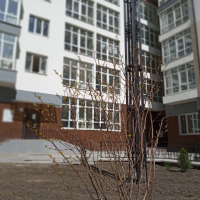 Травень 2020