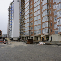 Листопад 2020