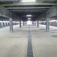 Грудень 2021